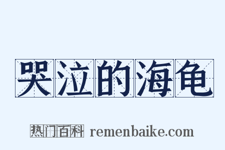 哭泣的海龟是什么意思的图片